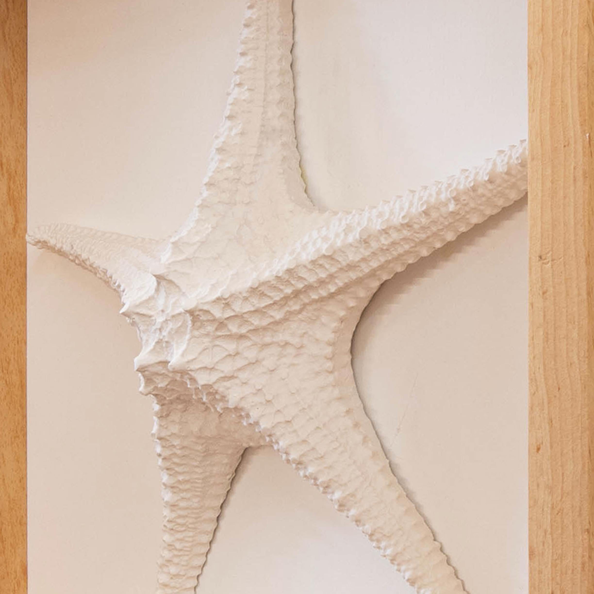White Starfish Sculpture for Ocean Lovers. Wall Art - Contemporary Painting by Arozarena De La Fuente