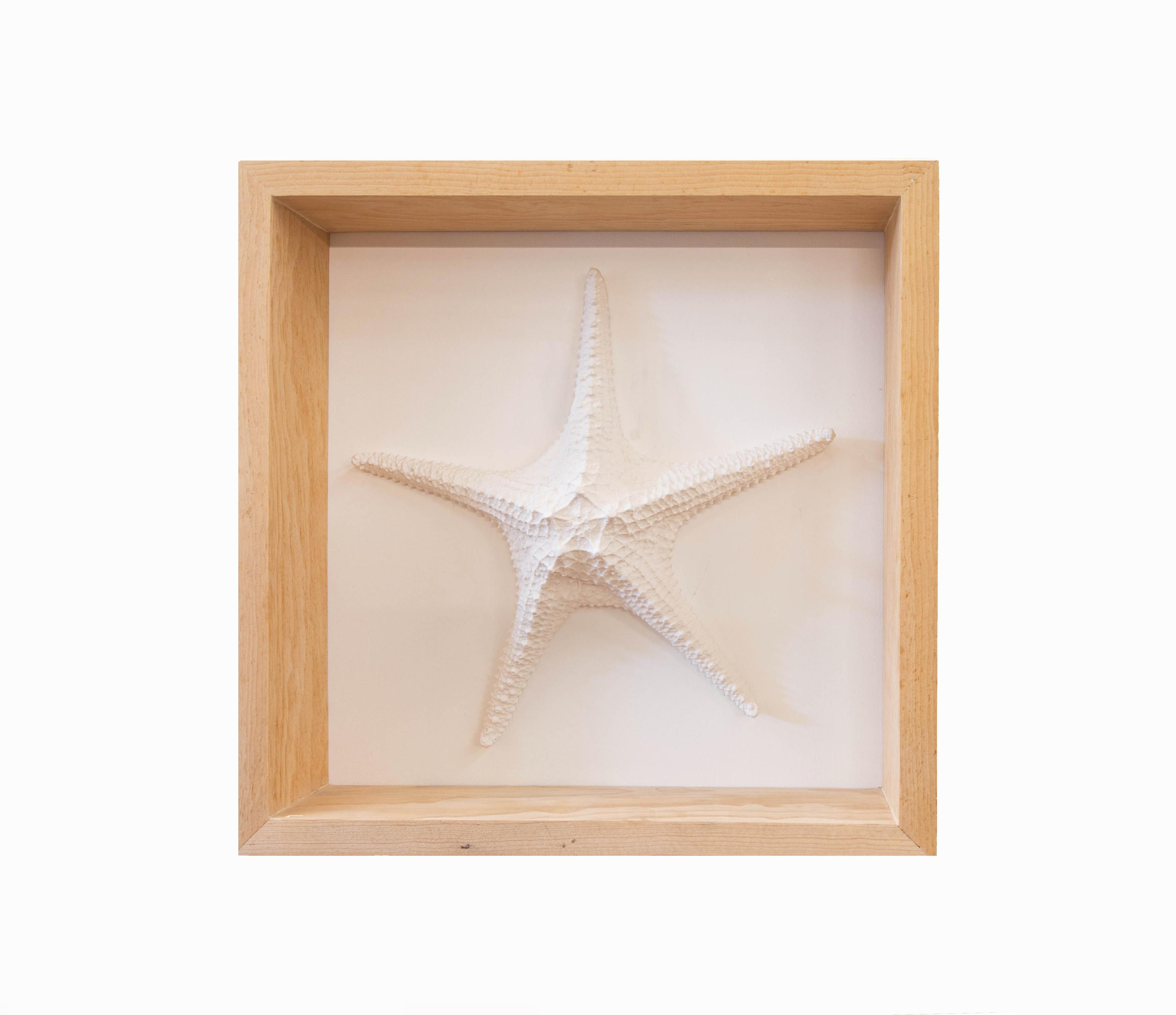Arozarena De La Fuente Animal Painting - White Starfish Sculpture for Ocean Lovers. Wall Art