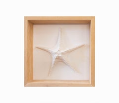White Starfish Sculpture for Ocean Lovers. Wall Art