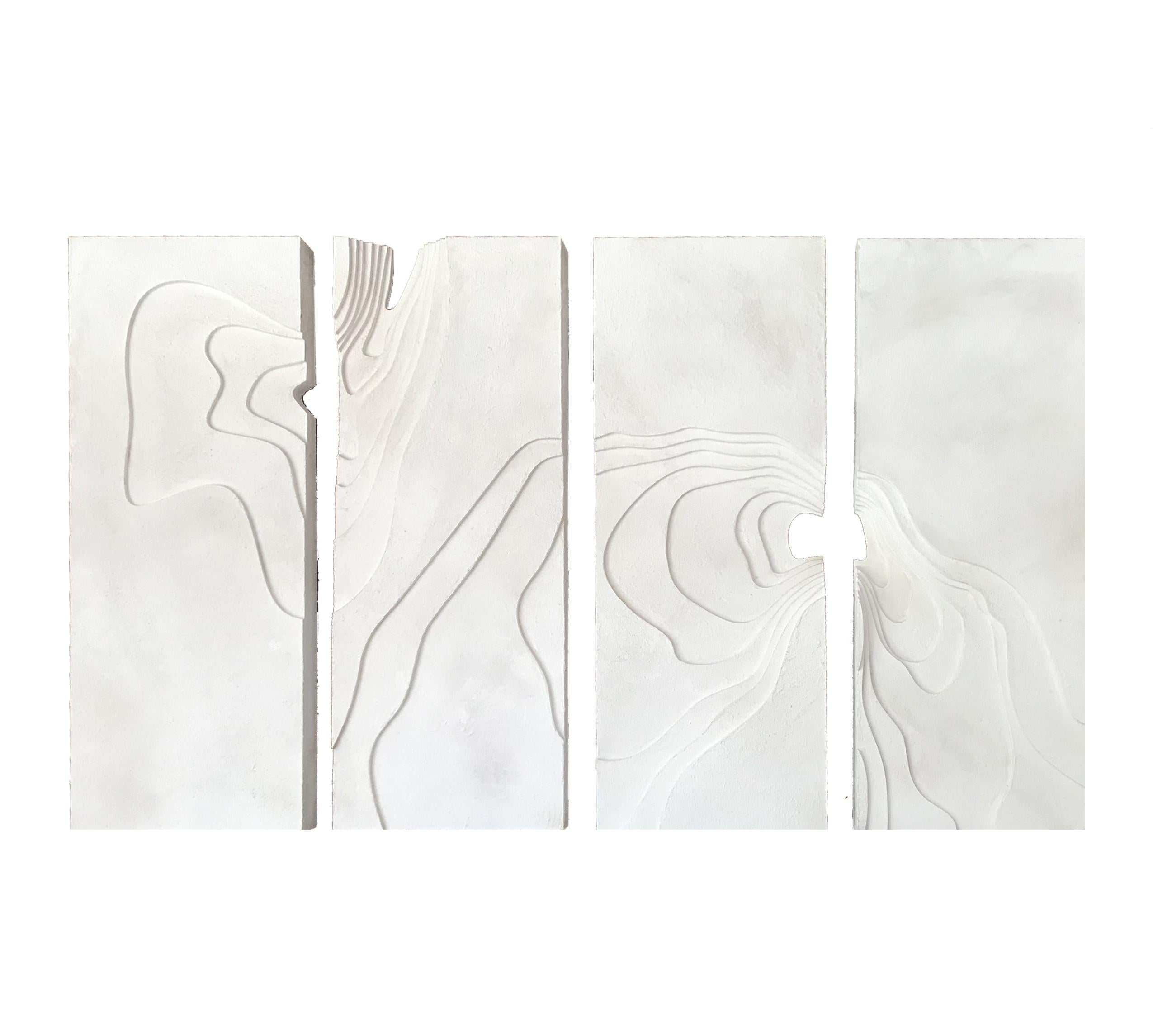 This outstanding art work was carefully traced and assembled in order to create a combination of organic forms and textures. The white color and silver touch contrasts perfectly with any color you may have on the background wall. 

The two artists