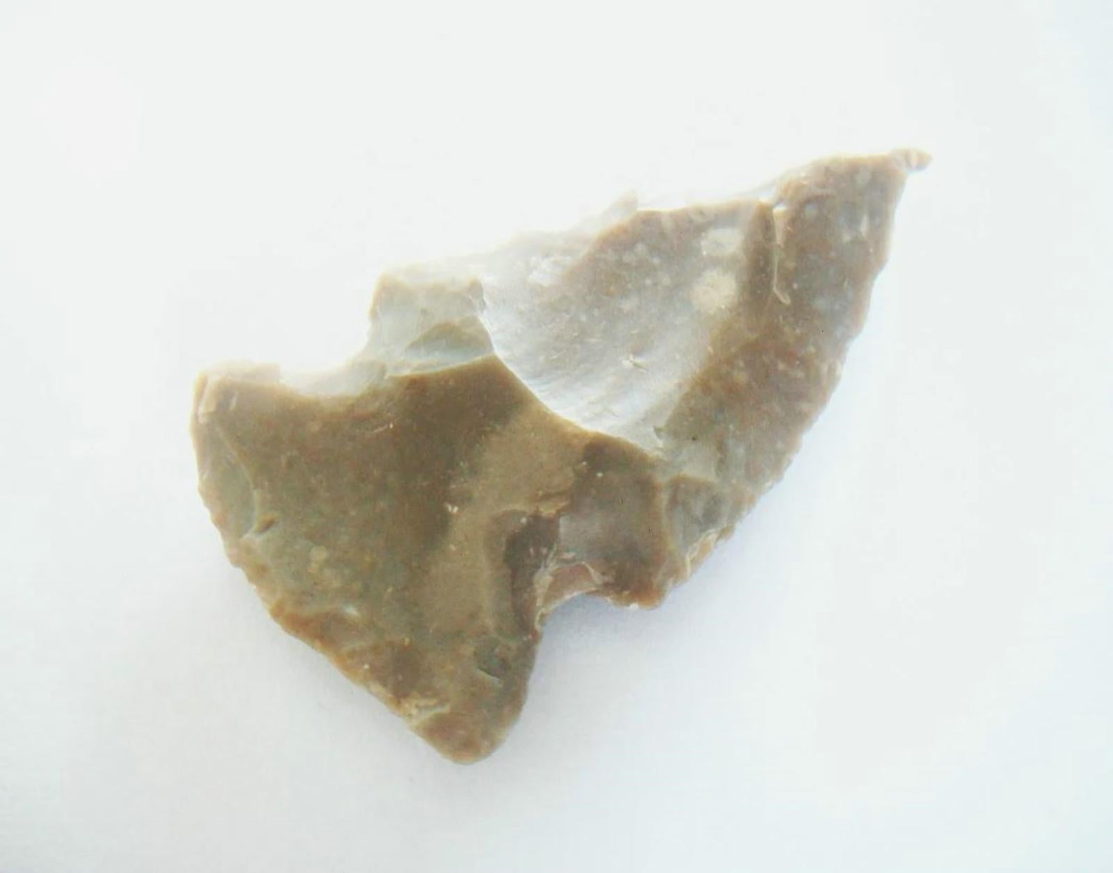 ARROWHEAD - Canadian First Nations Stone Projectile/Pendant - 2