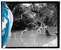 Persone III. Dalla serie The Dis(This) appearance. Fotografia a colori