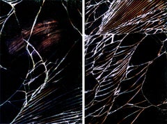 Untitled 12 and 18, Diptych. From The While You Are Surfing Series