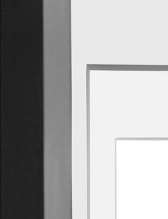 Untitled 15 from the series of INtheVISIBLE, 2013