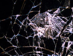 Sans titre 17,  De la série « While You Are Surfing »