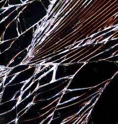 Untitled 18, From The Series Of While You Are Surfing