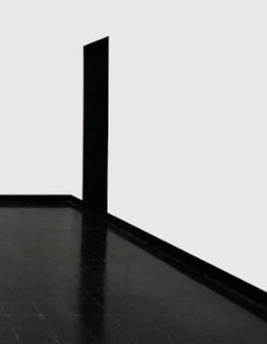 Untitled 24 aus der Serie INtheVISIBLE, 2013