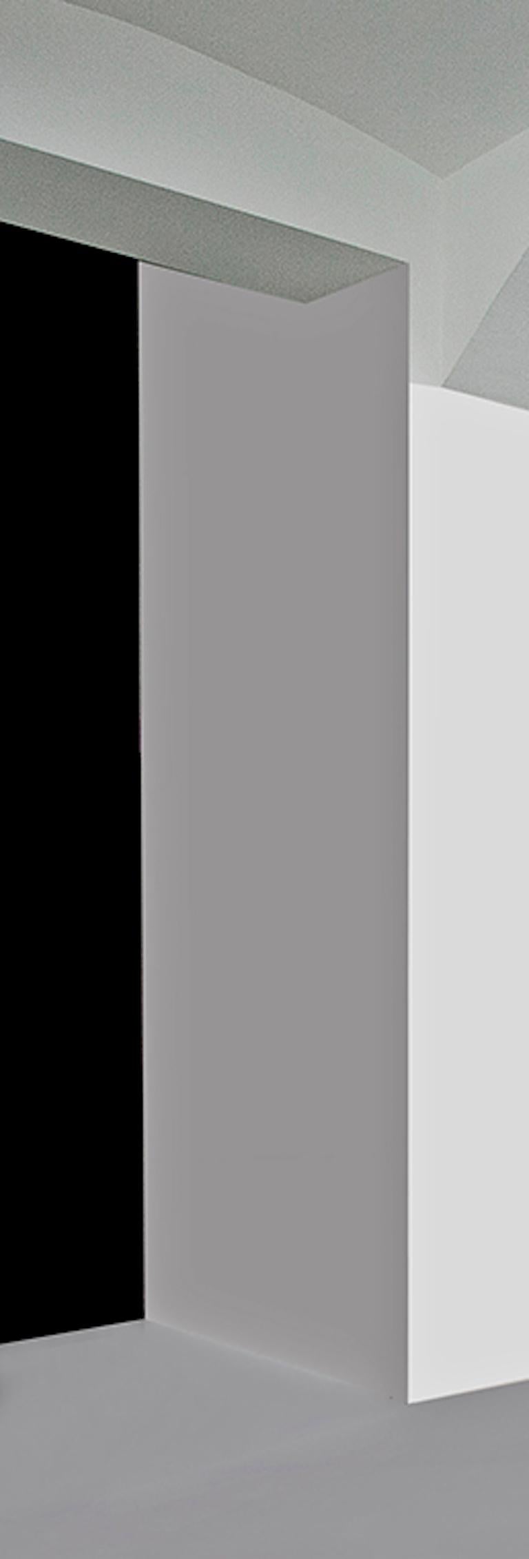 Untitled 29 aus der Serie INtheVISIBLE, 2019 (Grau), Landscape Photograph, von Arslan Sükan
