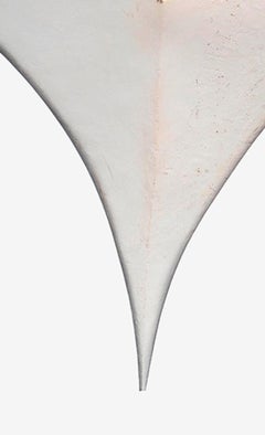 Sin título 33 de la serie de INtheVISIBLE, 2019