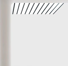 Senza titolo 5 della serie INtheVISIBLE, 2013