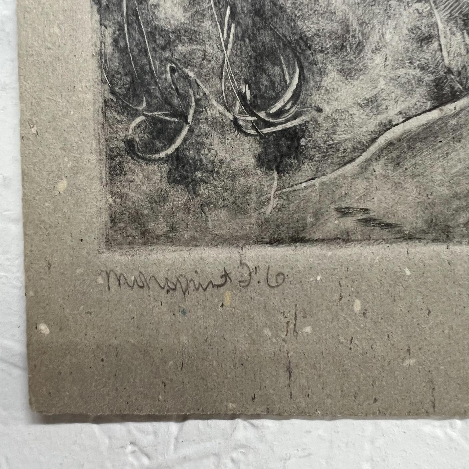 Art by Gina Kail 1998 Buffalo Metamorphosis 2 :6 Monogravure en vente 1