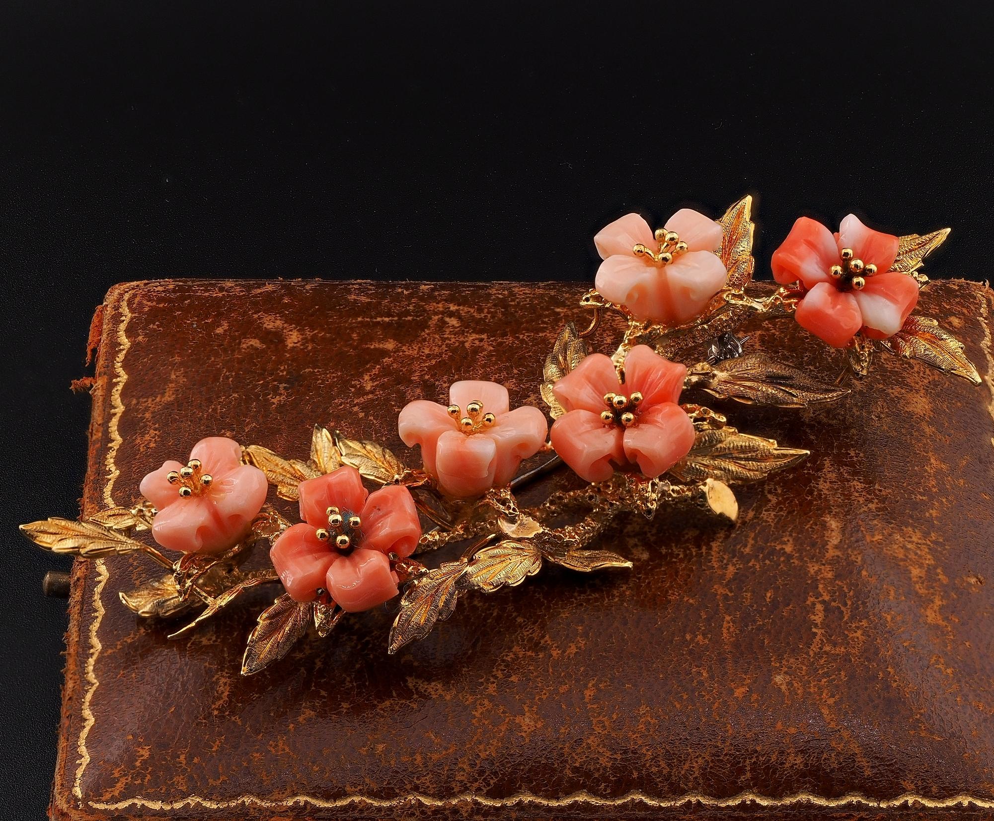 This quite outstanding mid century brooch is an unique made during the 50’s
Fantastic Nature inspired bunch of flower brooch, realistically hand carved for both gold and Coral, can be eventually also arranged into hair style
Large and exclusive