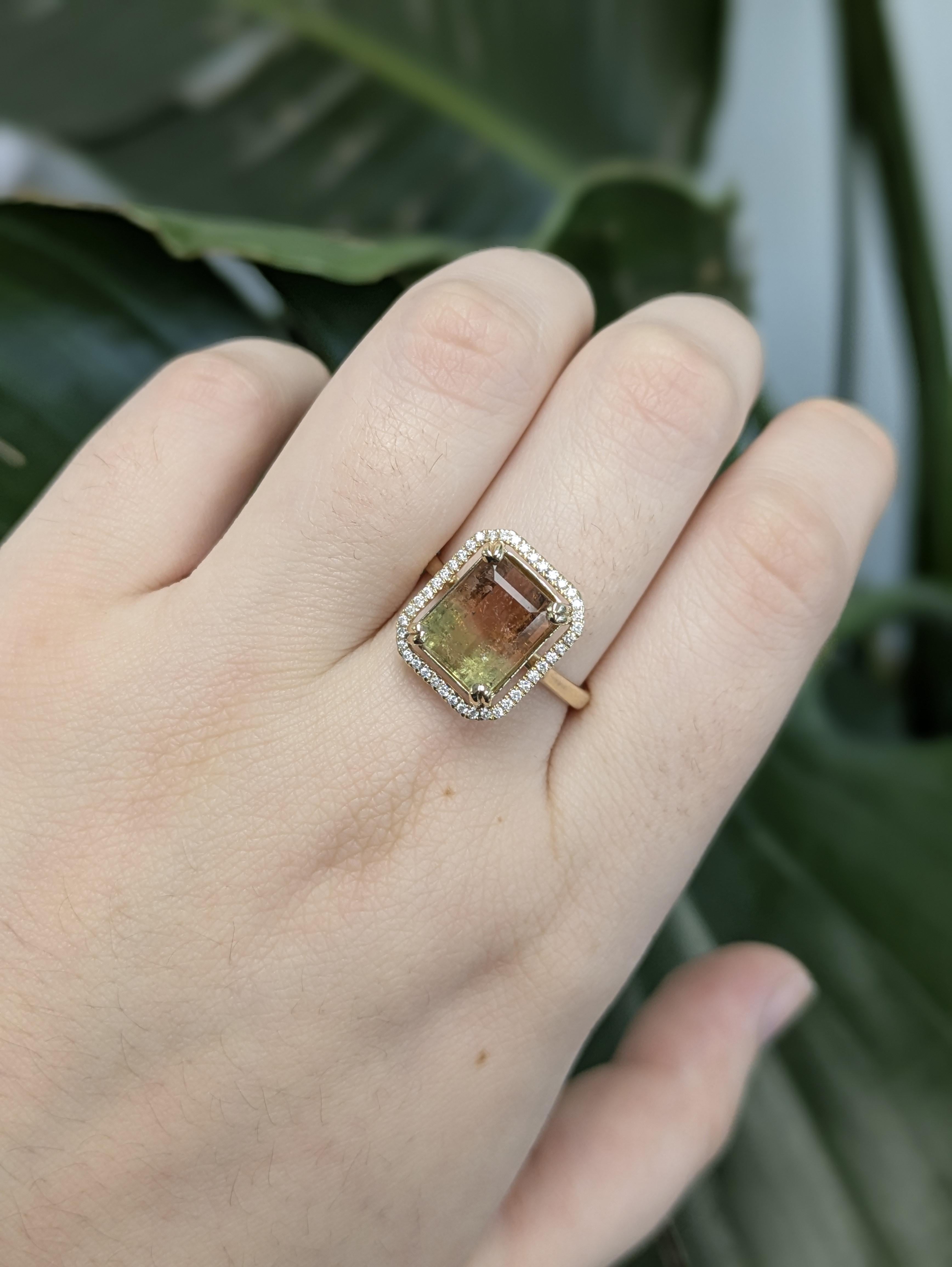 Dieser elegante Ring enthält einen 3,48-karätigen zweifarbigen Turmalin aus Brasilien, gefasst in 14-karätigem Gold mit einem Gewicht von 2,96 Gramm. Der 11x9 mm große Mittelstein weist einen atemberaubenden natürlichen Farbverlauf auf und wird von
