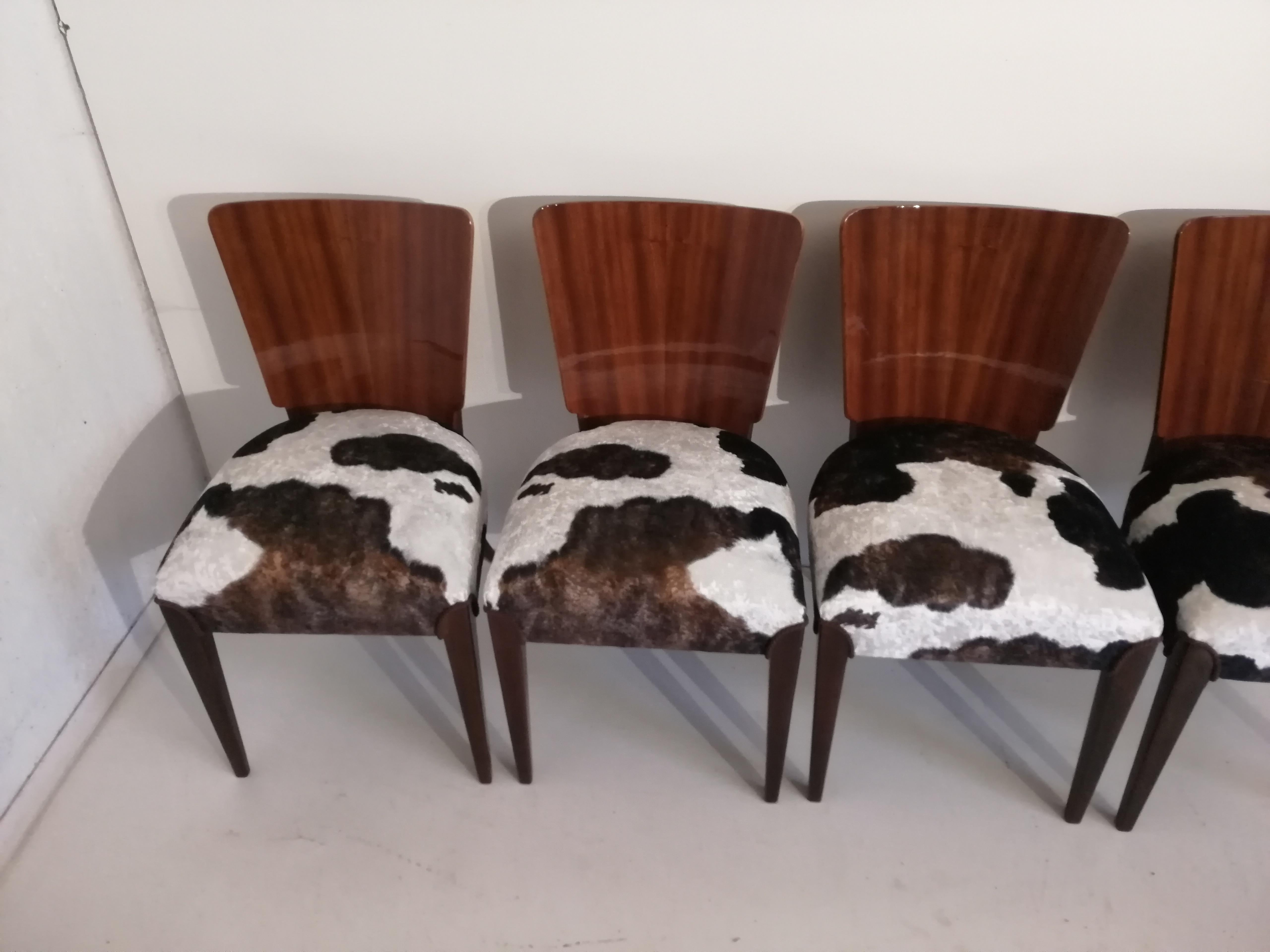 cow print chairs