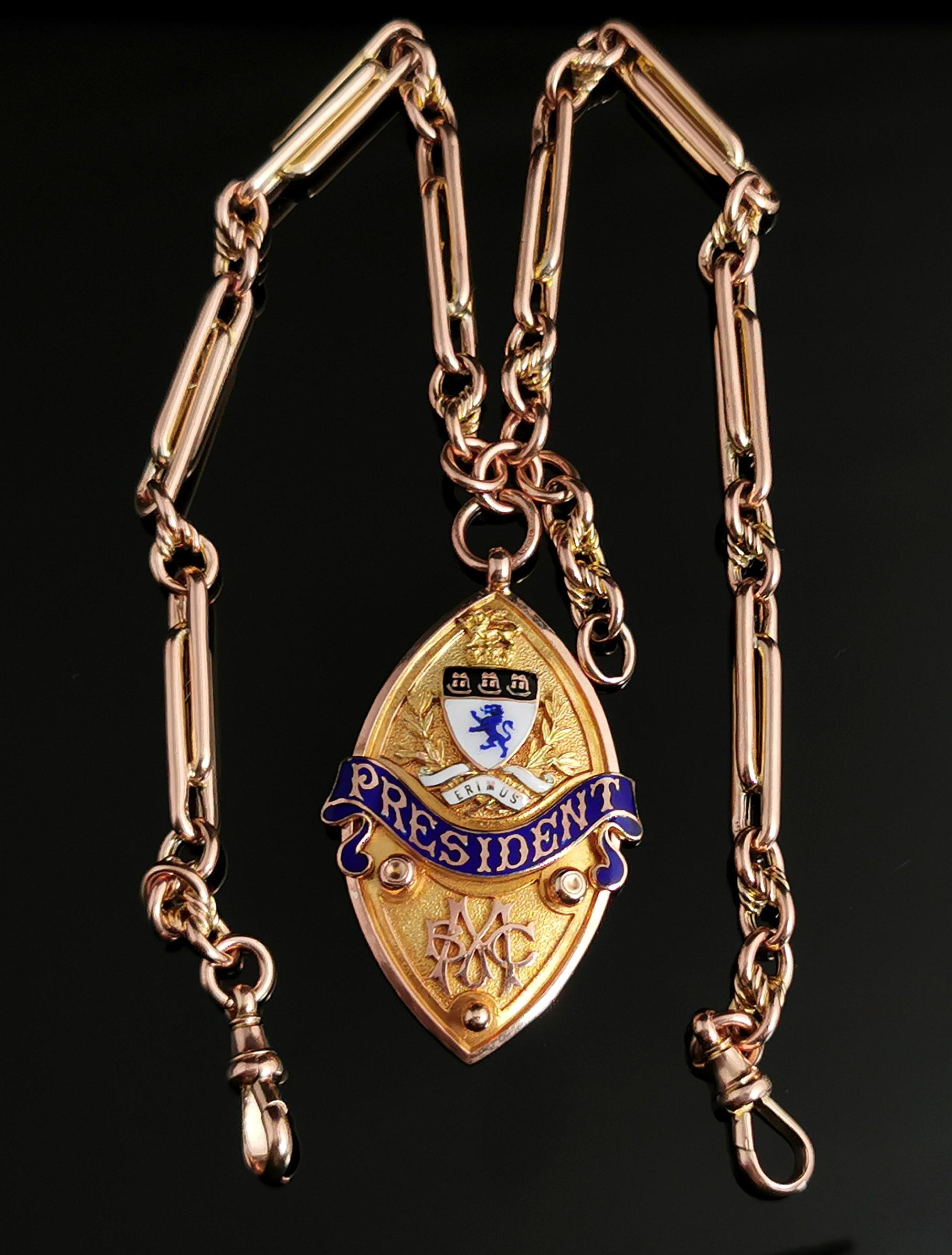 Art Deco 9ct Gold Fancy Link Albert Chain, Watch Chain Necklace, Enamelled Fob 10