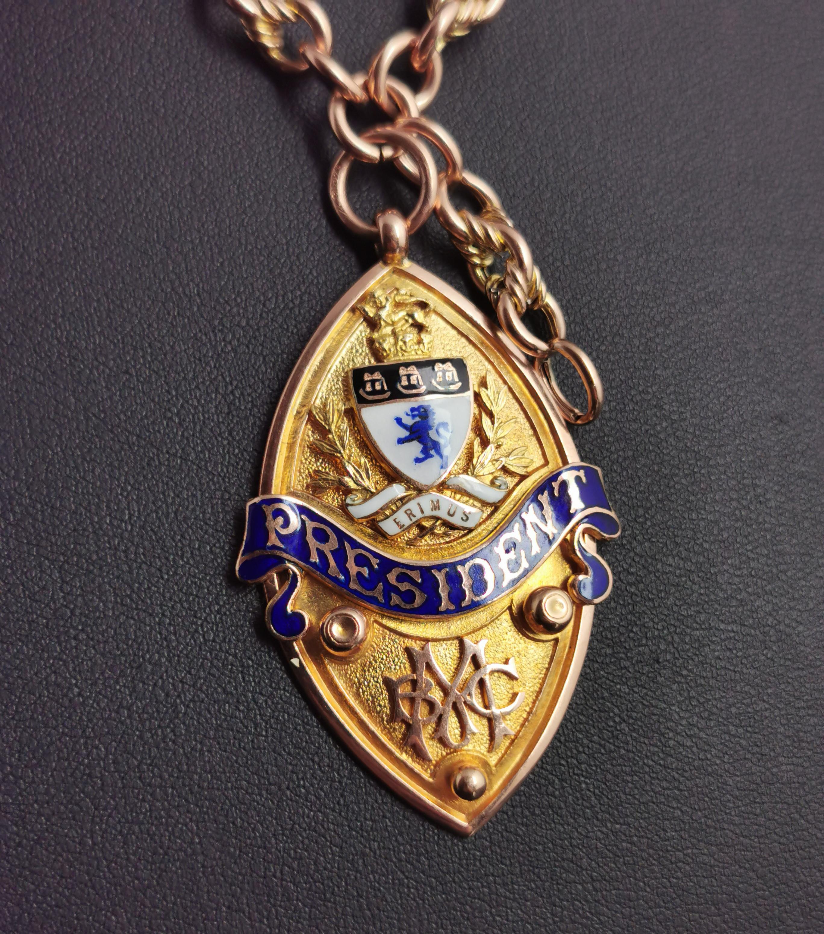 Art Deco 9ct Gold Fancy Link Albert Chain, Watch Chain Necklace, Enamelled Fob 1