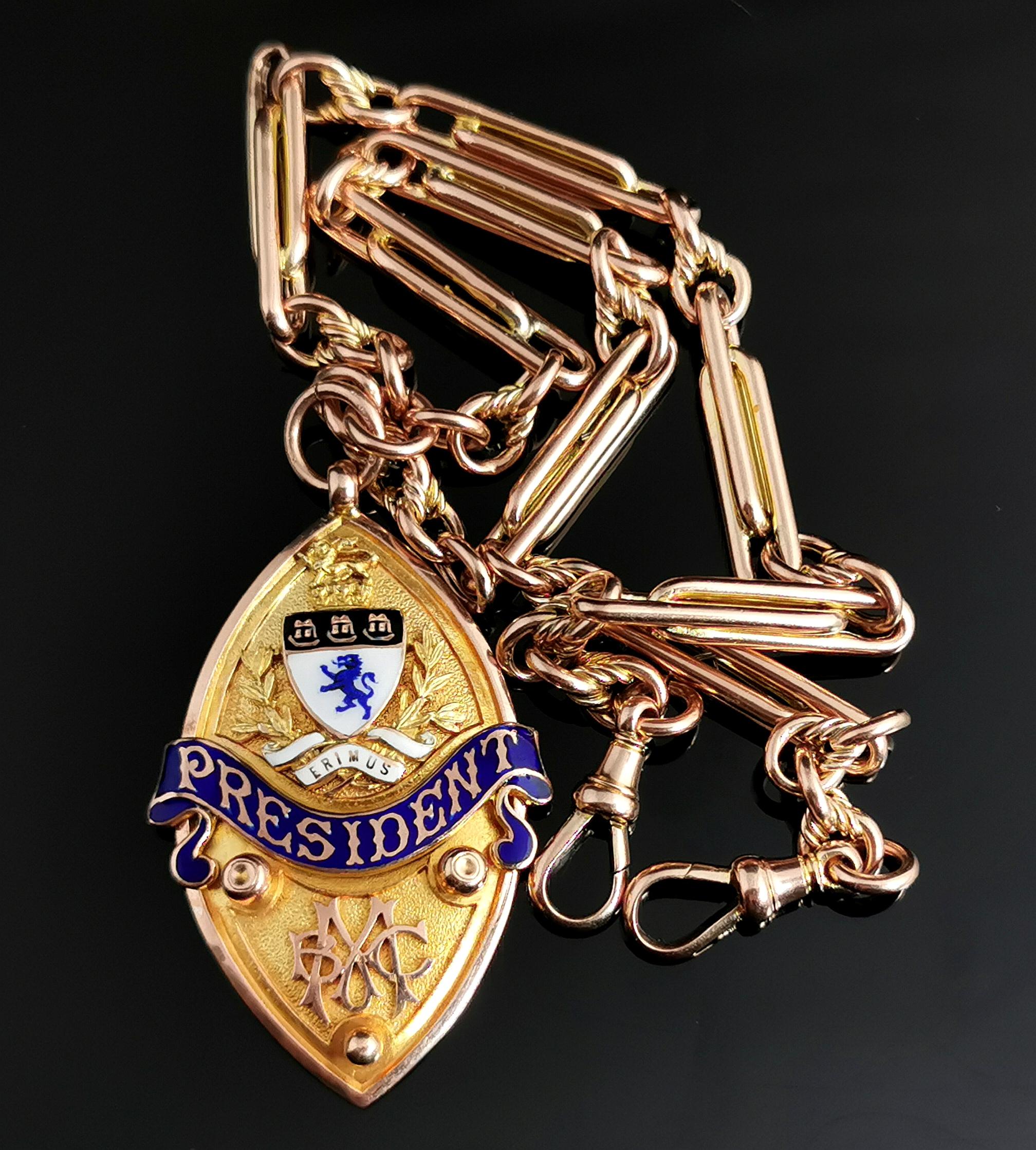 Art Deco 9ct Gold Fancy Link Albert Chain, Watch Chain Necklace, Enamelled Fob 2
