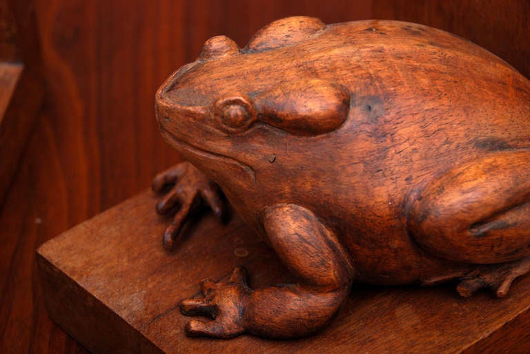Art Deco Adorable Pair Frog Bookends Hand Carved in Solid Mahogany 1930s Mexico 1