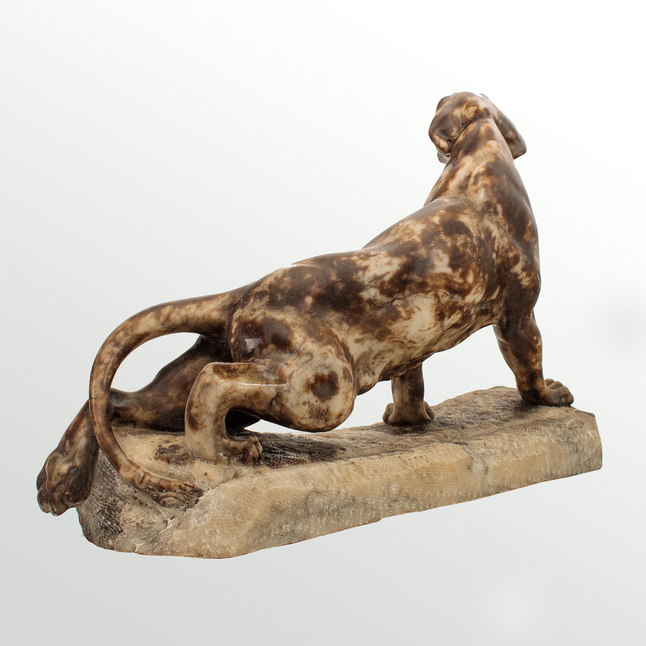 French Art Deco Alabaster sculpture depicting a Roaring Tiger, early 20th century For Sale