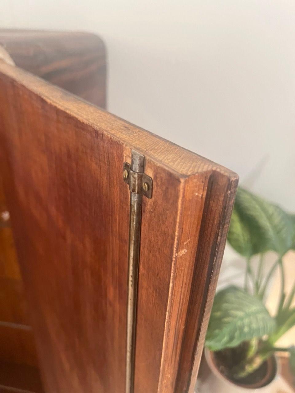 Bauhaus Armoire, Palisander Optic, Steeltube and Chrome, Germany circa 1930 For Sale 10