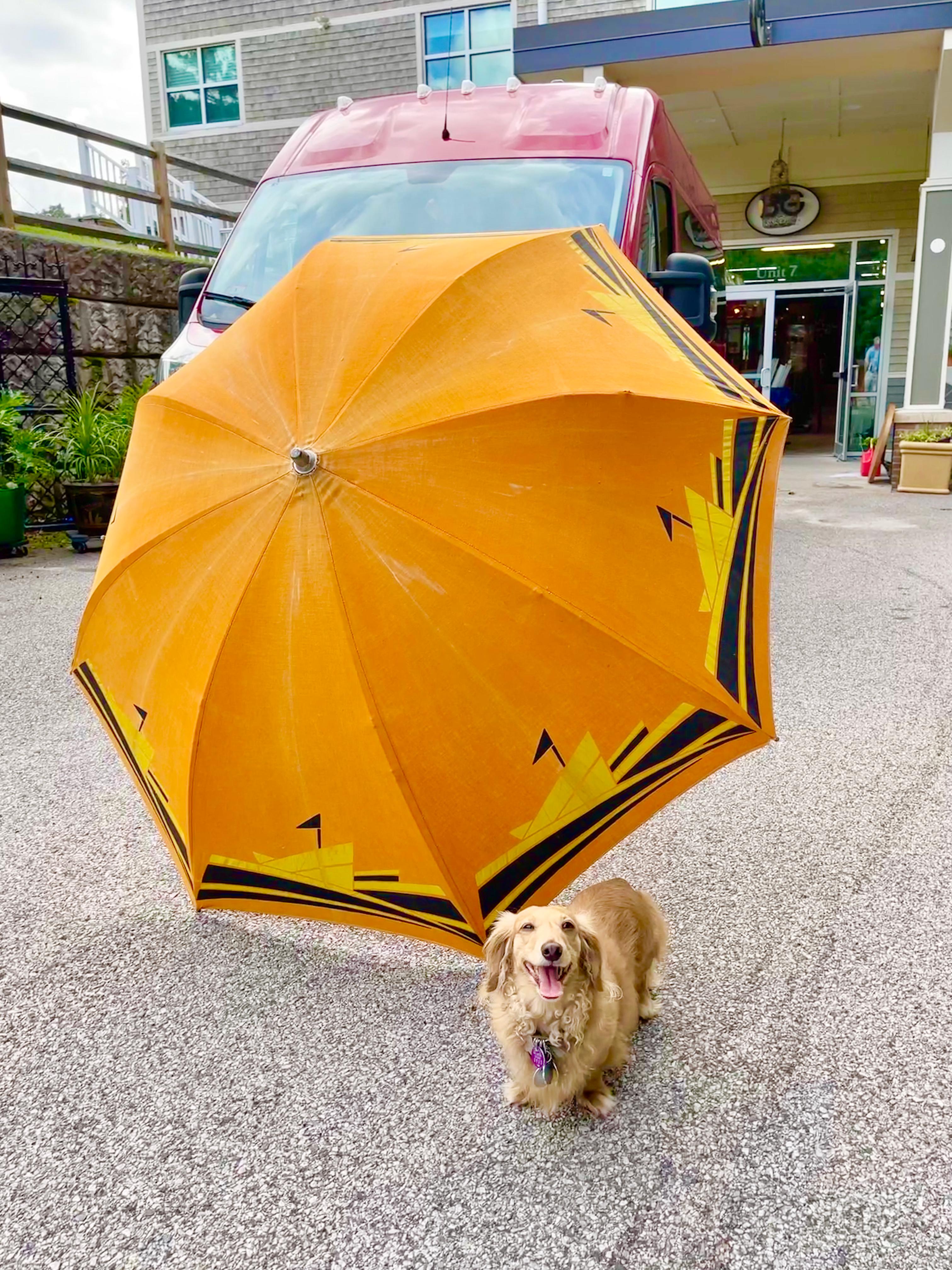 Art Deco Beach Umbrella mit Dampfschiff-Motiv im Angebot 2