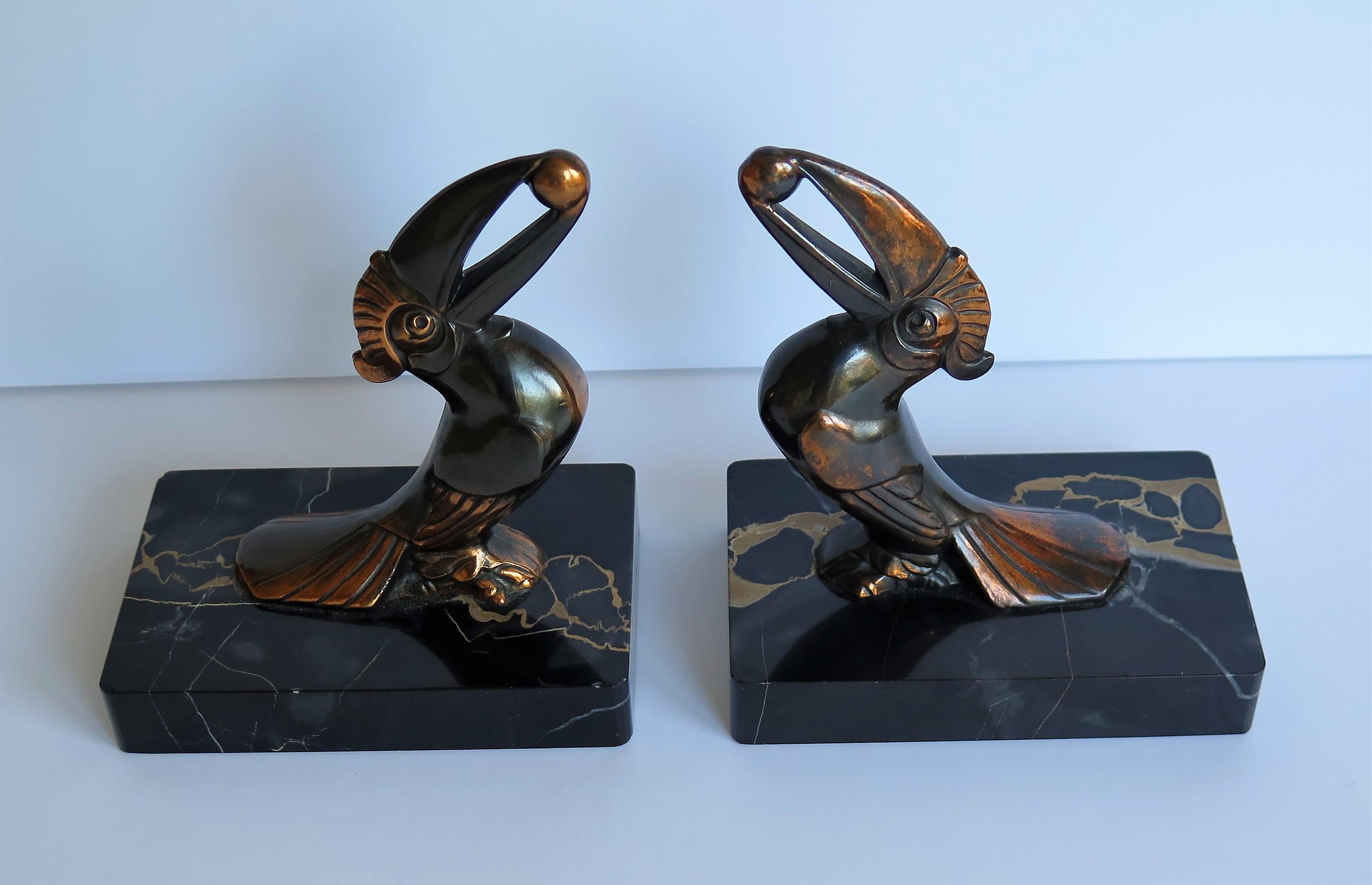 These are a beautiful pair of French, Art Deco period, Book Ends of two metal Toucans on Portoro Italian Marble bases. 

Each Toucan has been well modelled with good detail and holding a berry in its beak. They are made of metal having a bronzed -