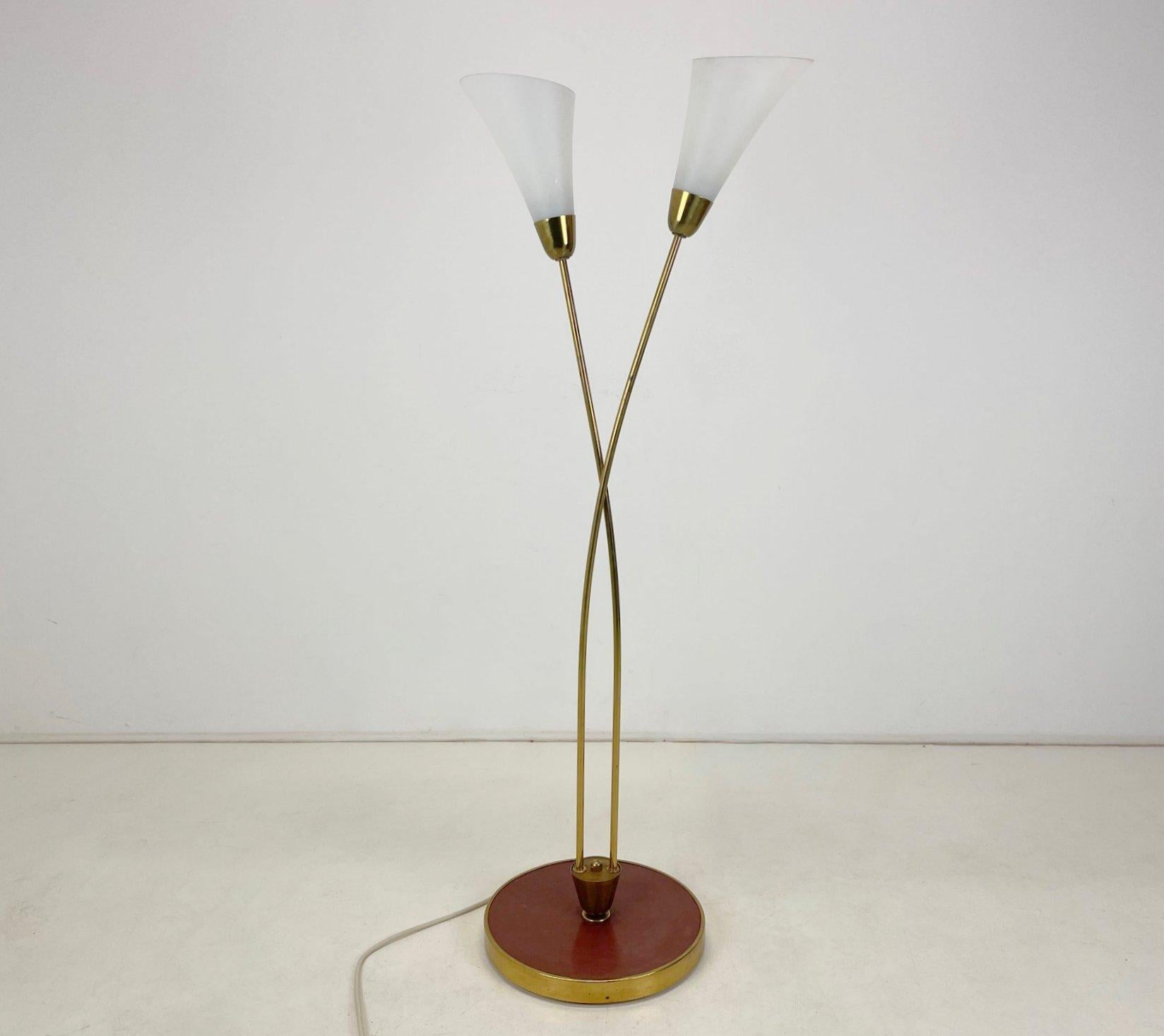 Schöne Art-Déco-Stehlampe aus der ehemaligen Tschechoslowakei vom Anfang des 20. Jahrhunderts. Hergestellt aus Messing mit Patina und Opalglas.