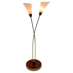 Antique Art Deco Brass Floor Lamp, 1930's