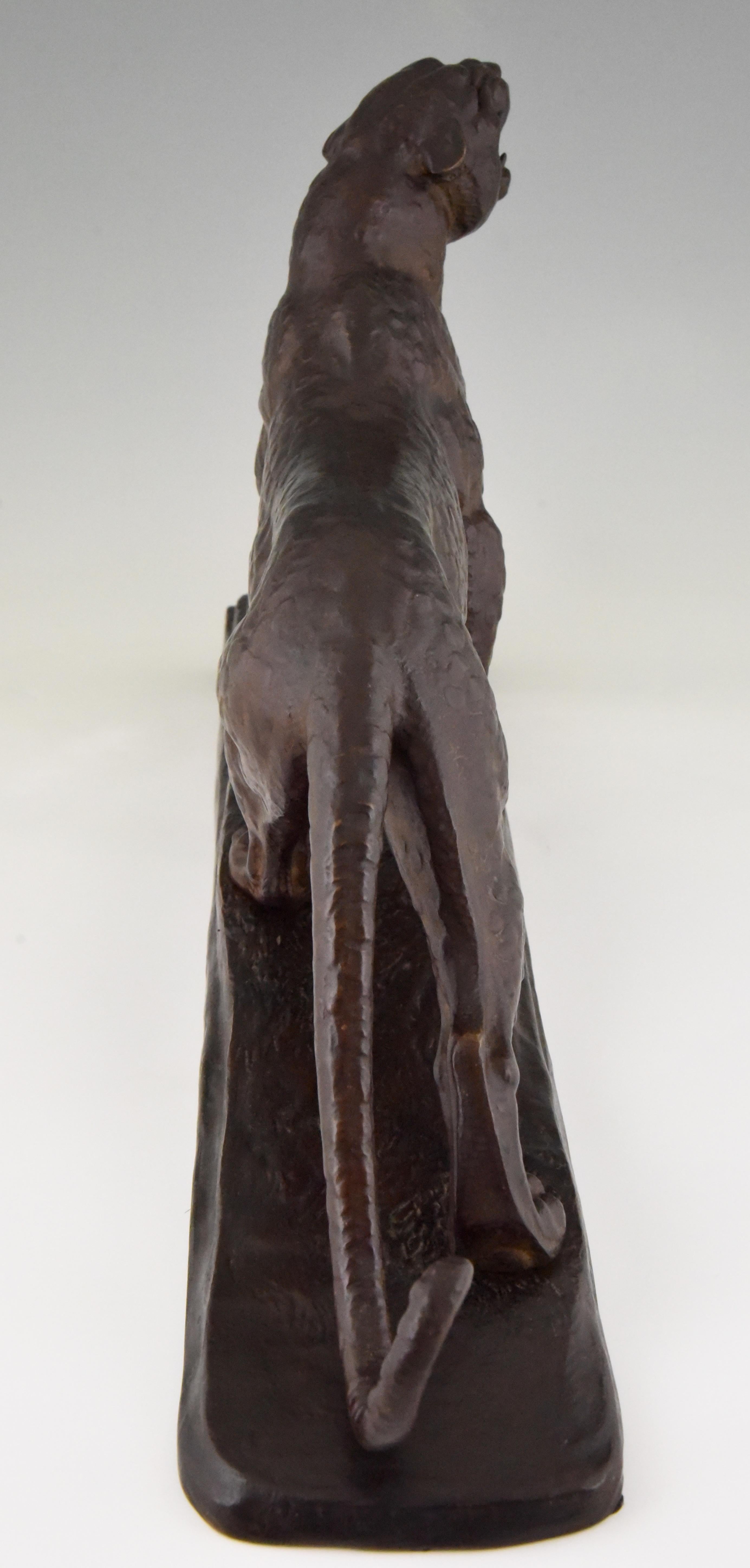 Art Deco Bronze Panther Sculpture by Louis Albert Carvin  1920  france 2