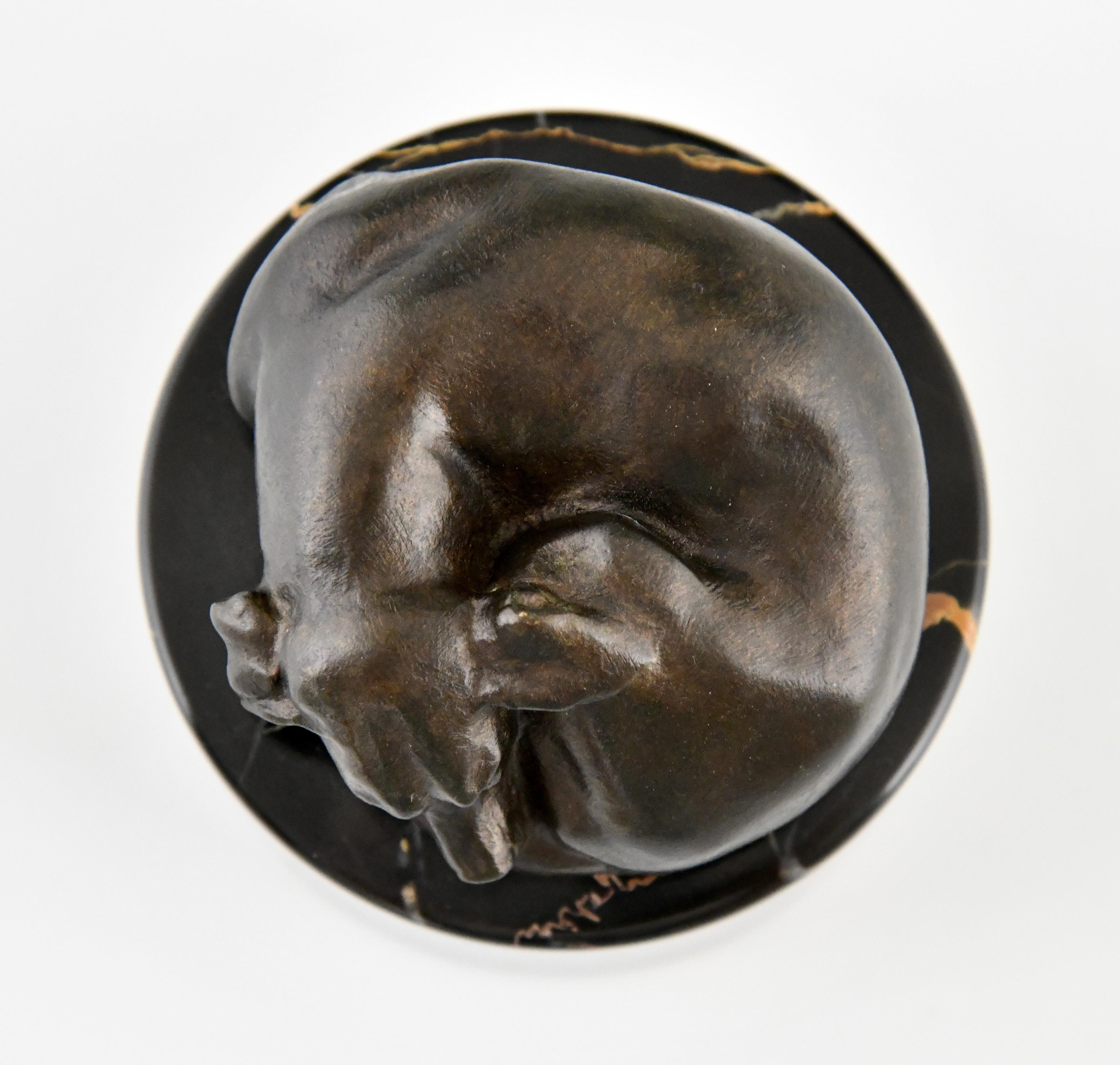 Bronze Art Deco bronze sculpture of a sleeping dog France 1930