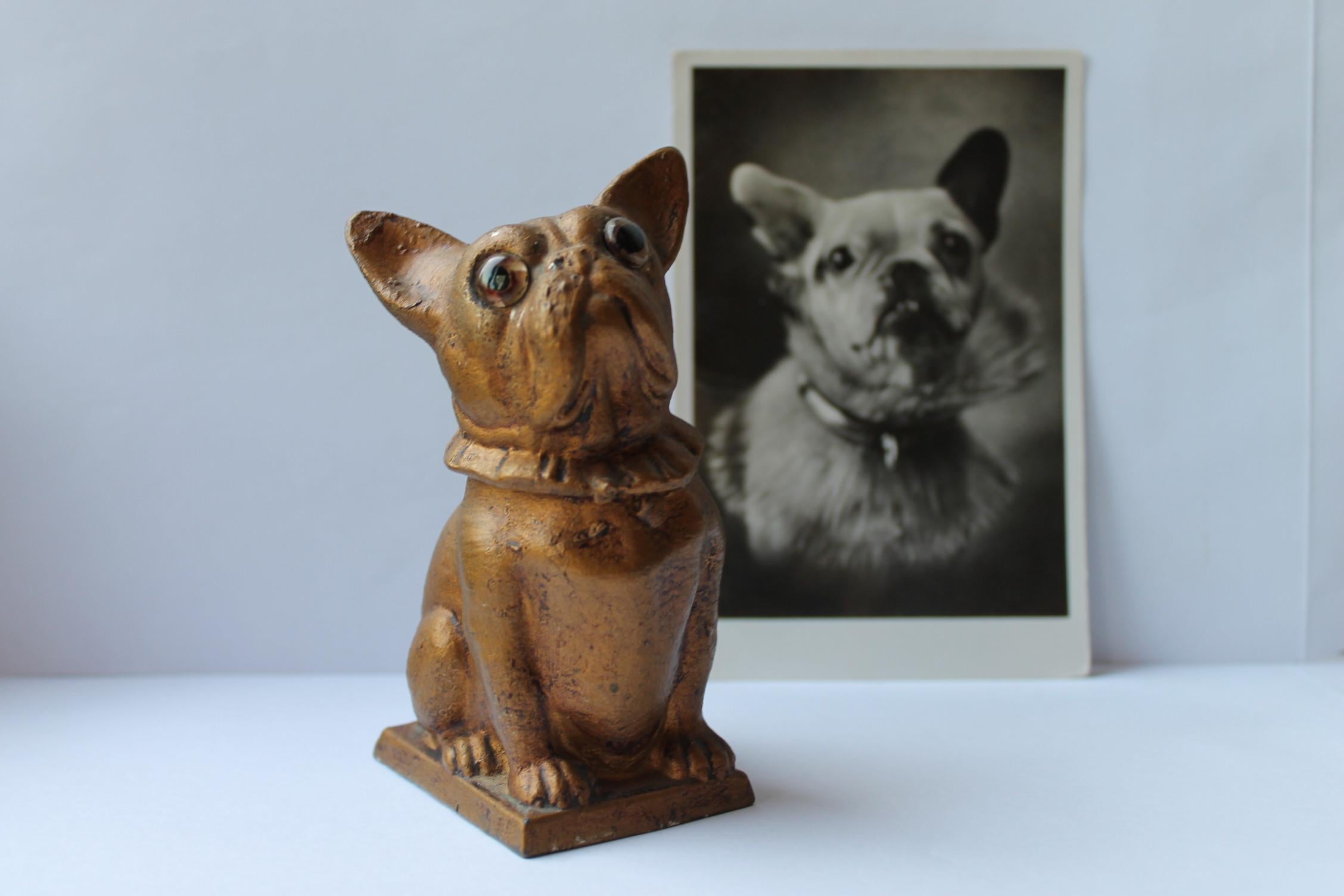 Cute Gold Painted Metal Bulldog Money Bank .
This Moneybox Bulldog Dog Figurine has  Big Eyes which are looking into yours, so you can't say no to him.
It's a Detailed Bulldog Figurine with Collar.
To empty your money box in the shape of a dog, you