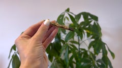 Art Deco Cartier 14k Yellow Gold and Bakelite Cigarette Holder