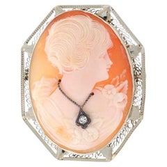 Art Deco Carved Shell Cameo Brooch/Pendant, 14k White Gold En Habille Pin