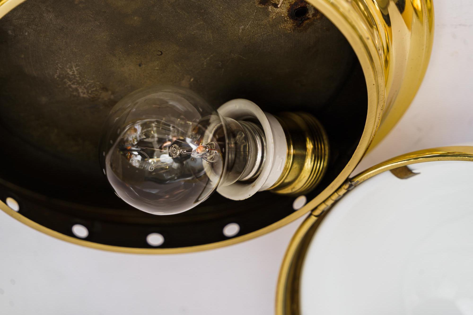 Lacquered Art Deco Ceiling Lamp with Original Opal Glass Shade Vienna, circa 1920s