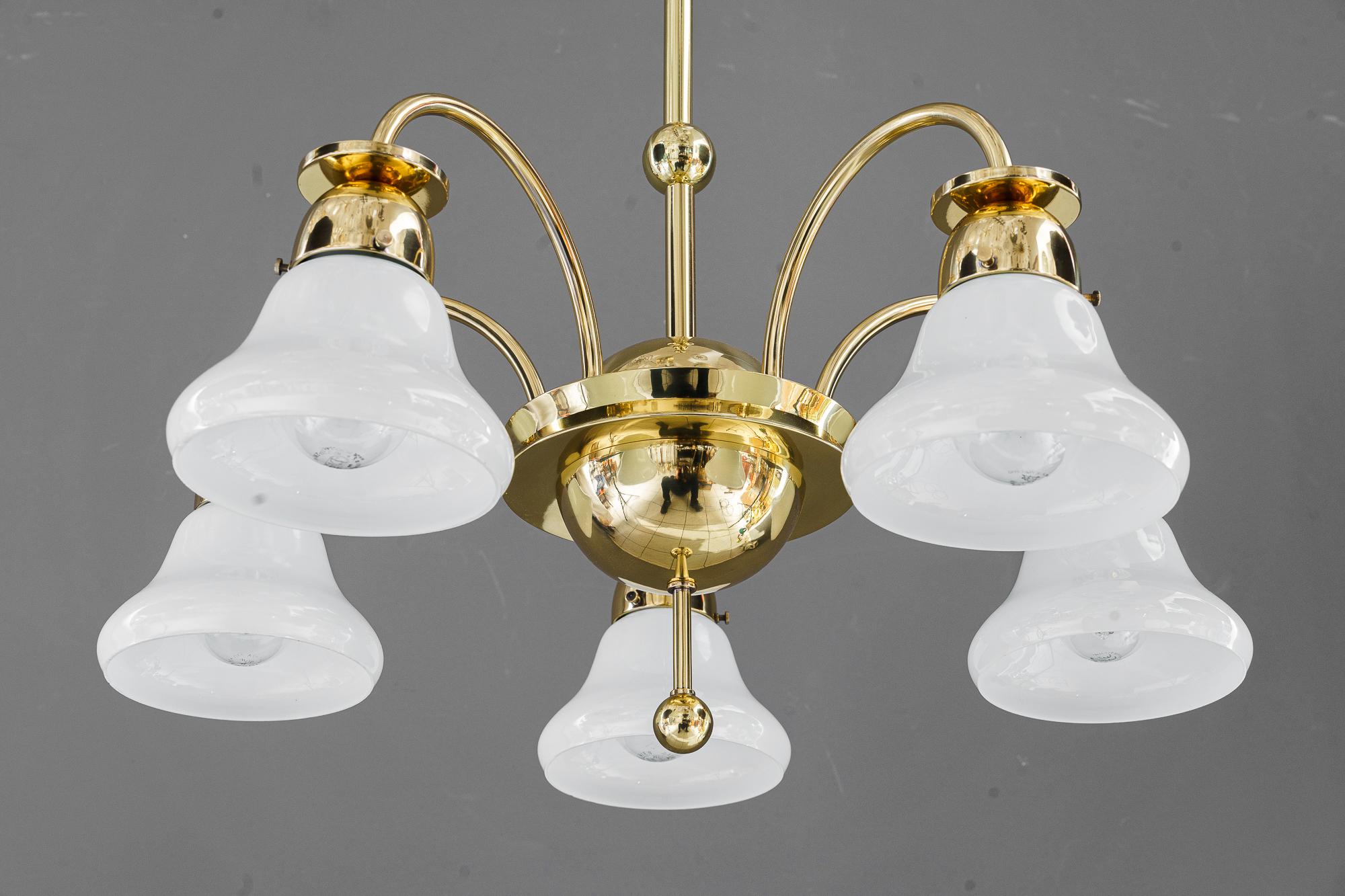 Art Deco chandelier vienna aroumd 1920s For Sale 8