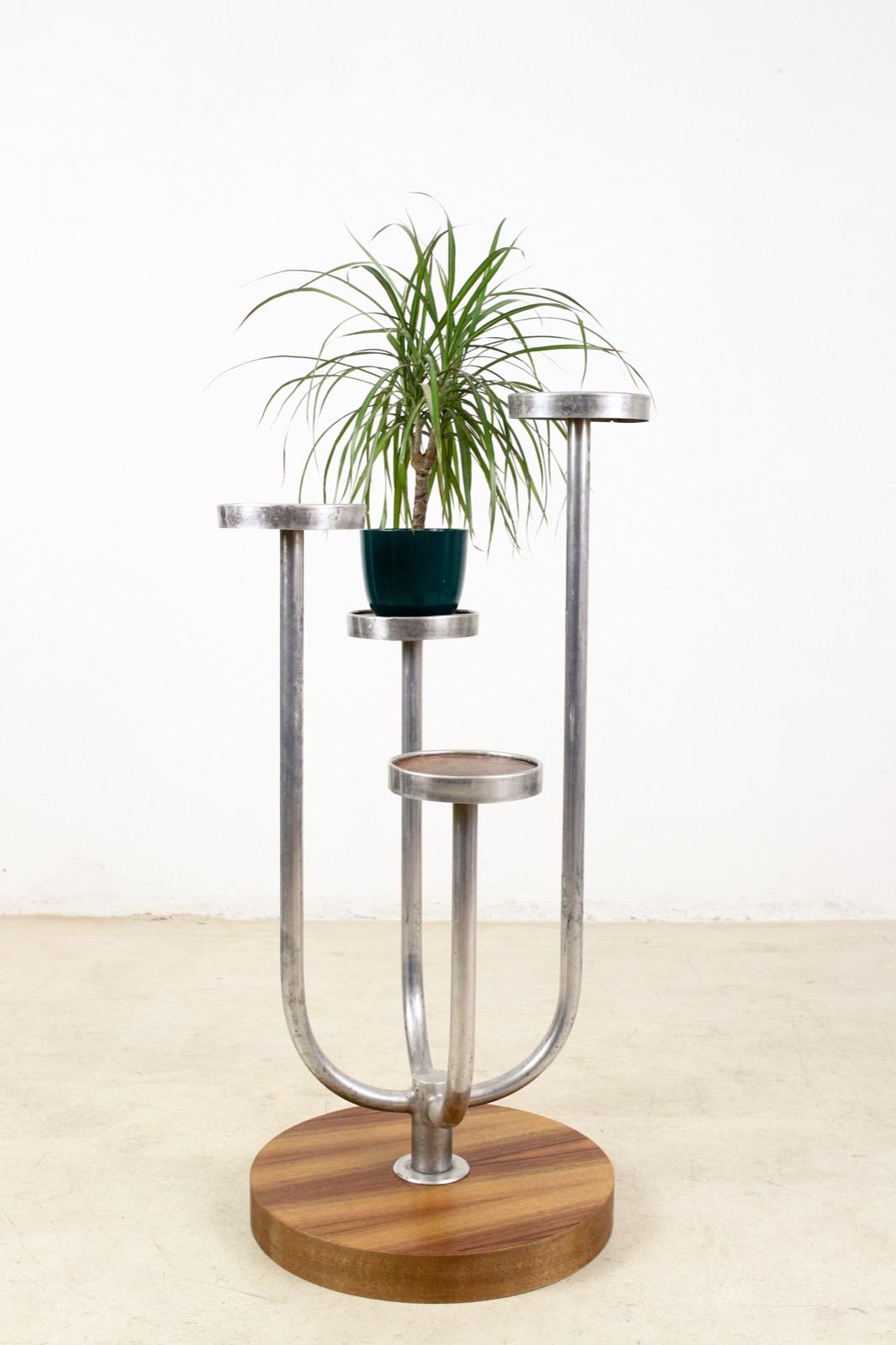 Art Deco Chrome and Walnut Plant Stand, 1930s 4