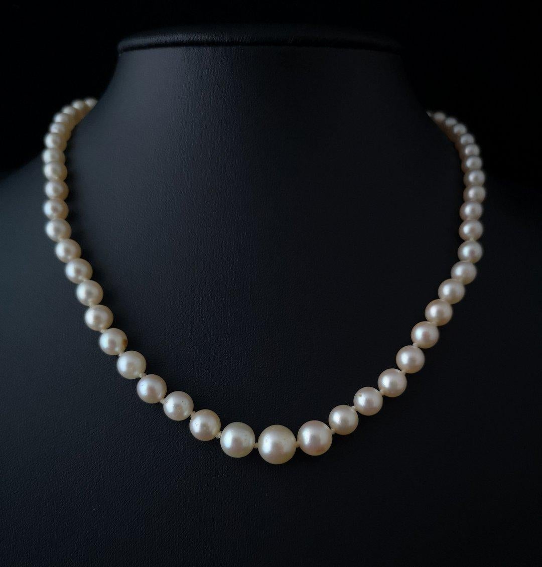 Art Deco Cultured Pearl Necklace, 14 Karat White Gold and Diamond Clasp 5