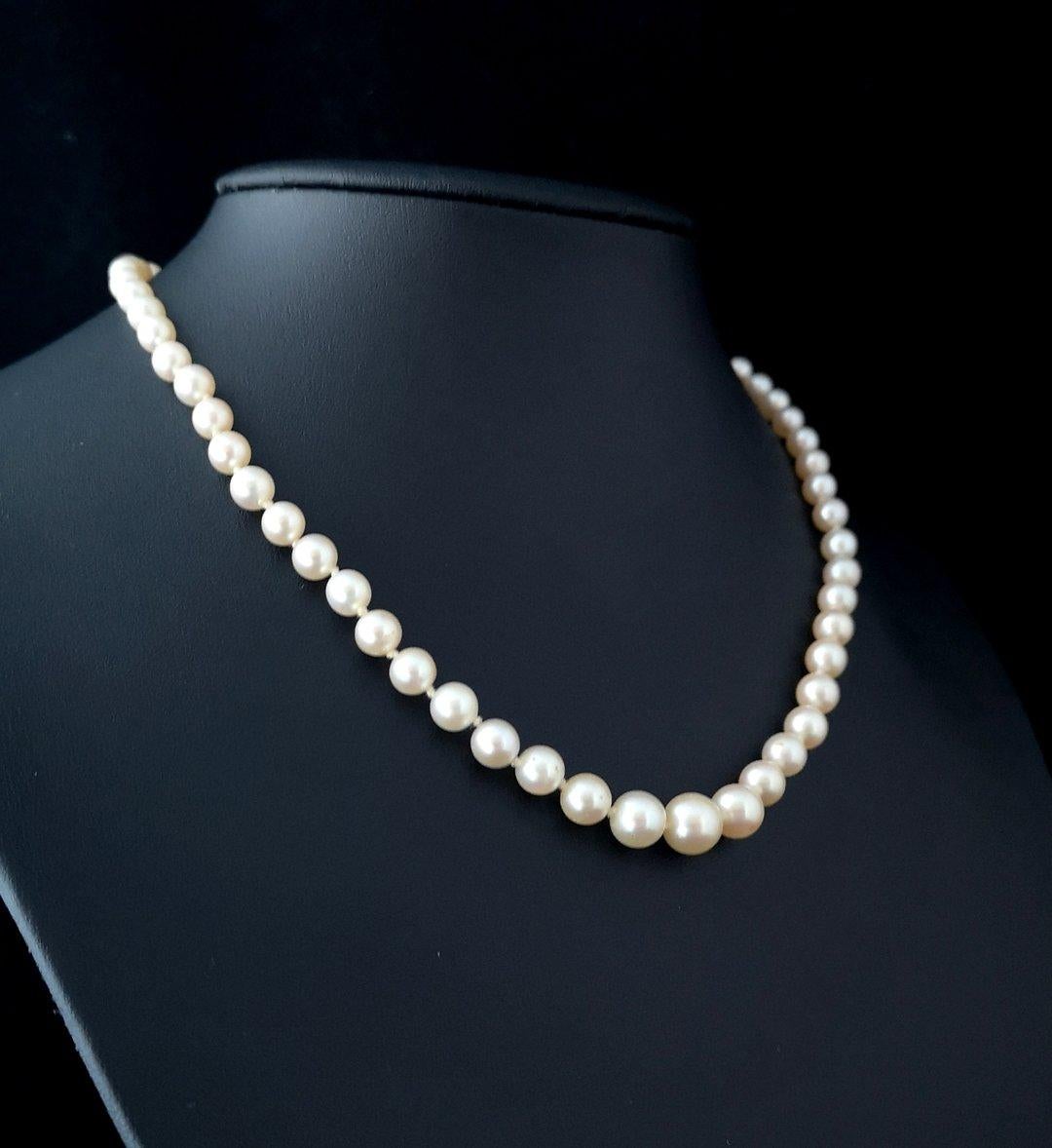 A stunning vintage Art Deco, 1930s cultured pearl necklace.

Rich and well matched graduated cultured pearls with a pretty hue, strongly knotted and coming together at the back to the decorative clasp.

The clasp is 14 karat white gold, typically