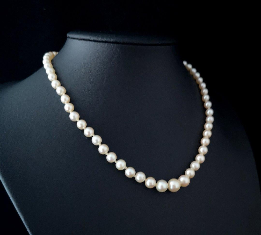 Art Deco Cultured Pearl Necklace, 14 Karat White Gold and Diamond Clasp 3