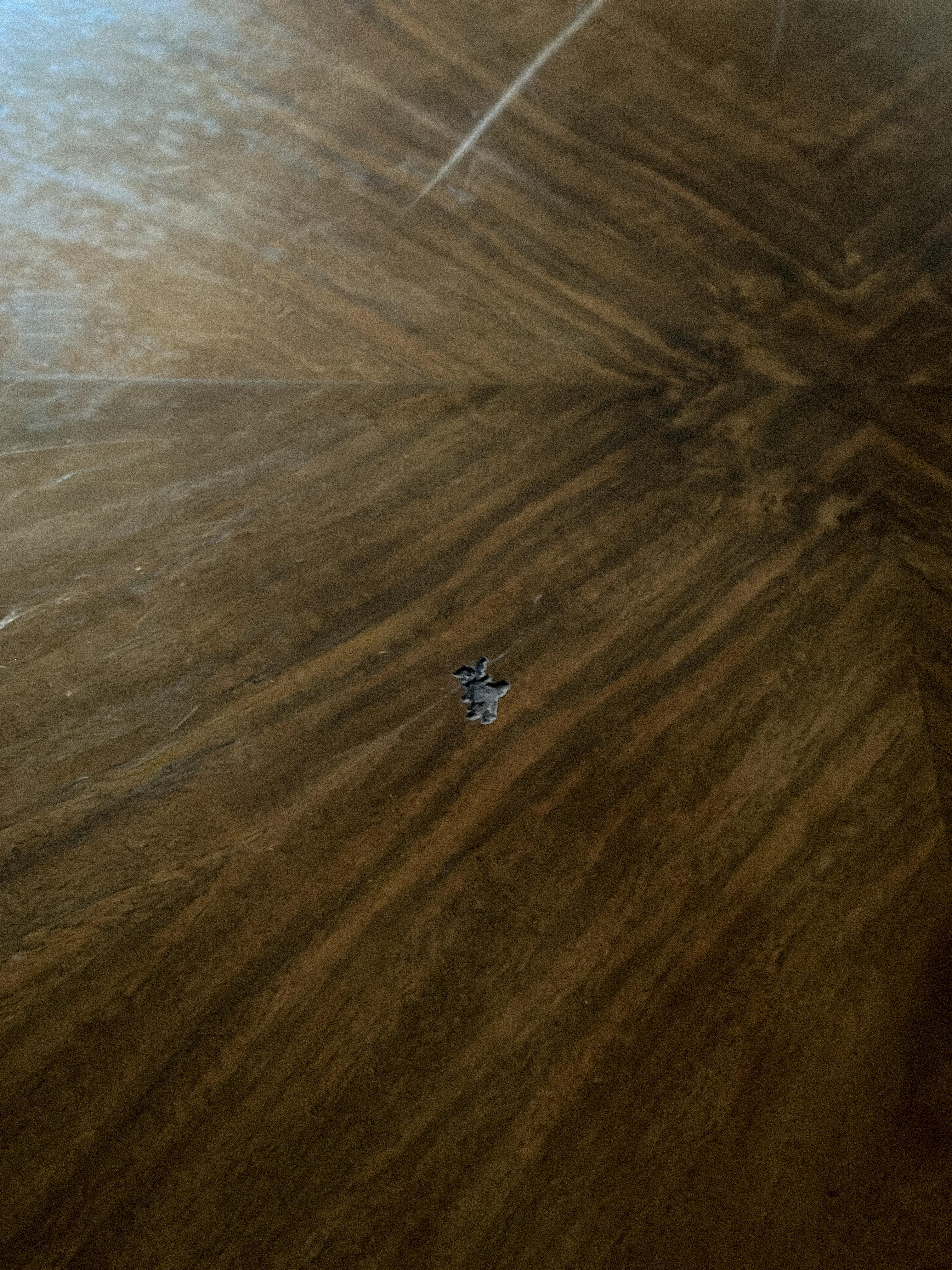 Art Deco, Danish Cabinetmaker Circular Side Table, c. 1930/40s For Sale 12