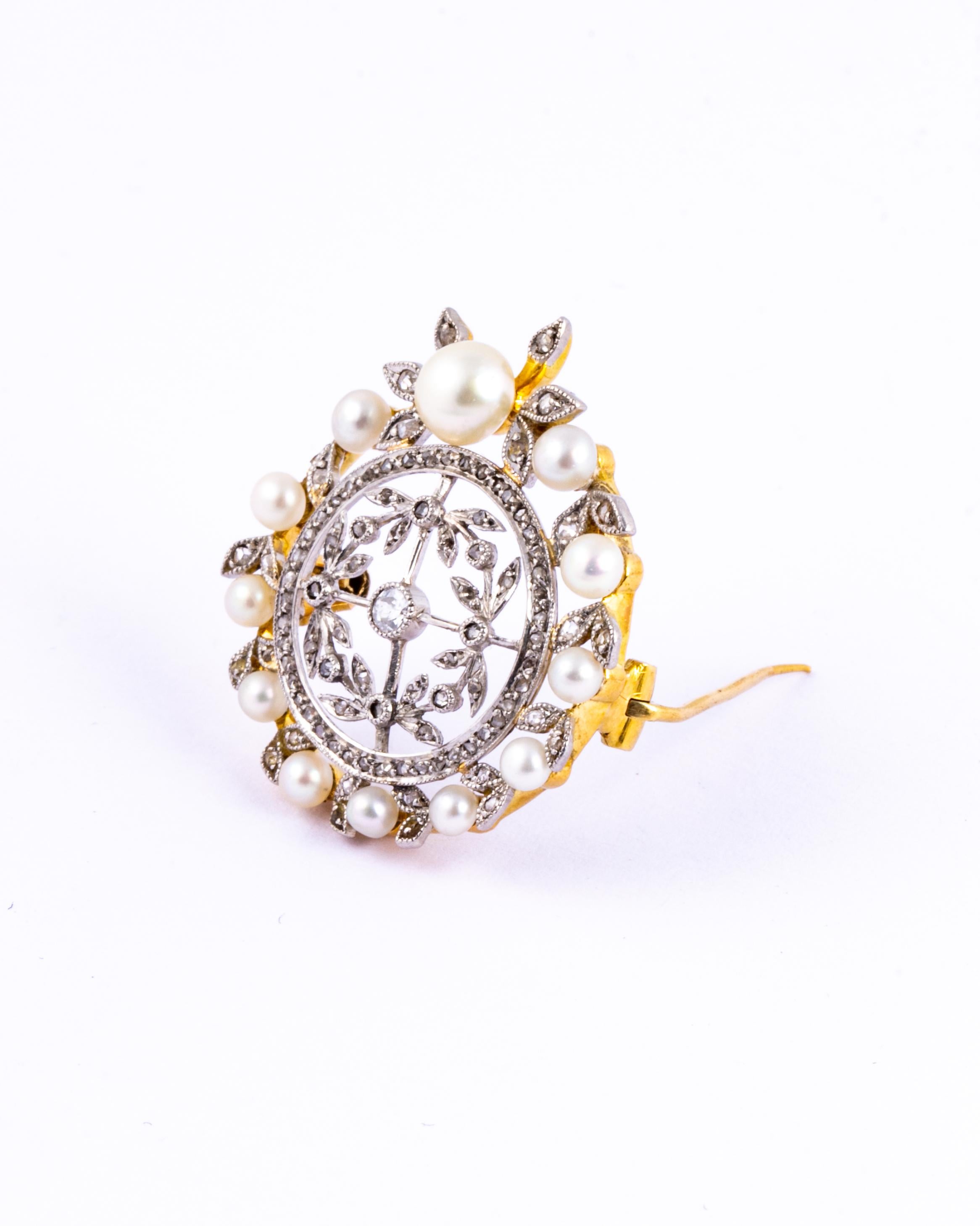 This intricate brooch holds sparkling diamonds and soft shimmery pearls. The stones are all set in platinum and the rest of the brooch is modelled in 9ct gold. The total carat weight of the diamonds is approx 50pts. 

Brooch Dimensions: 29x27mm