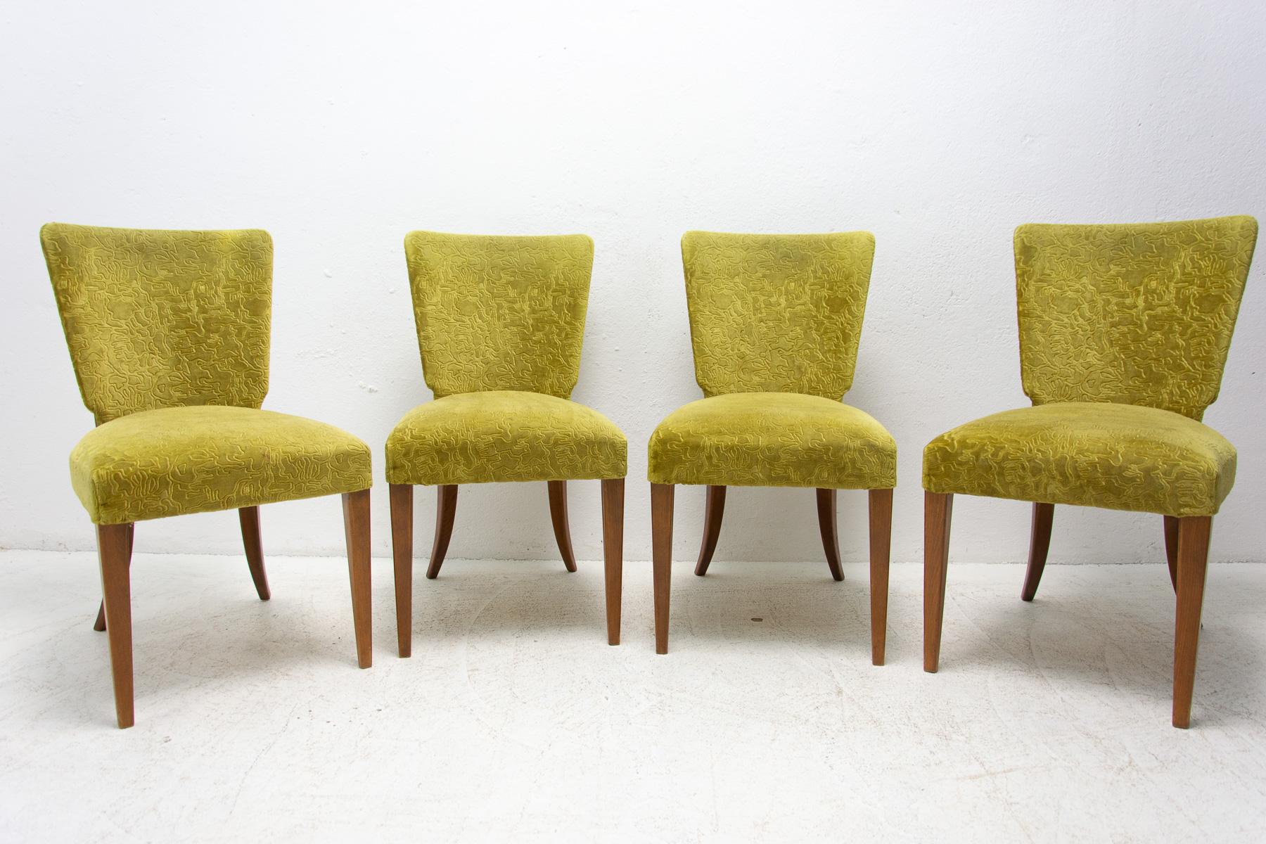 Art Deco Dining Chairs H-214 by Jindrich Halabala for ÚP Závody, 1950´s For Sale 4