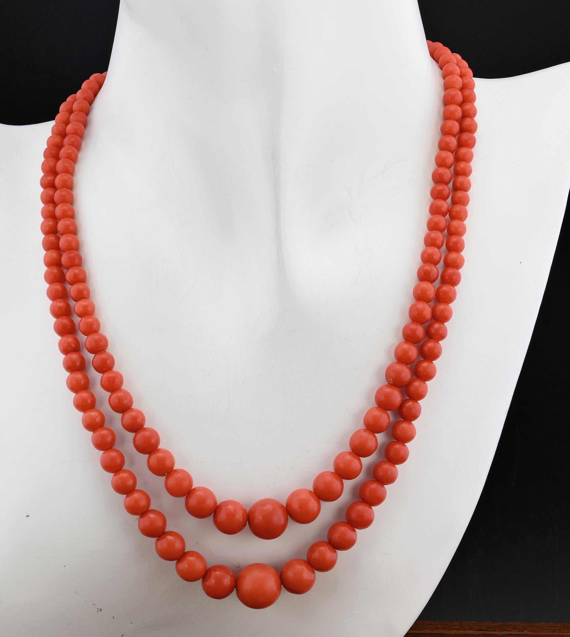 Charming antique Art Deco period double strand Coral necklace 1920 circa
Italian Mediterranean origin
Comprising two strands of natural untreated – no wax - not dyed Coral of stunning Red color, graduated beads ranging in sizes from 4 mm to 11 mm