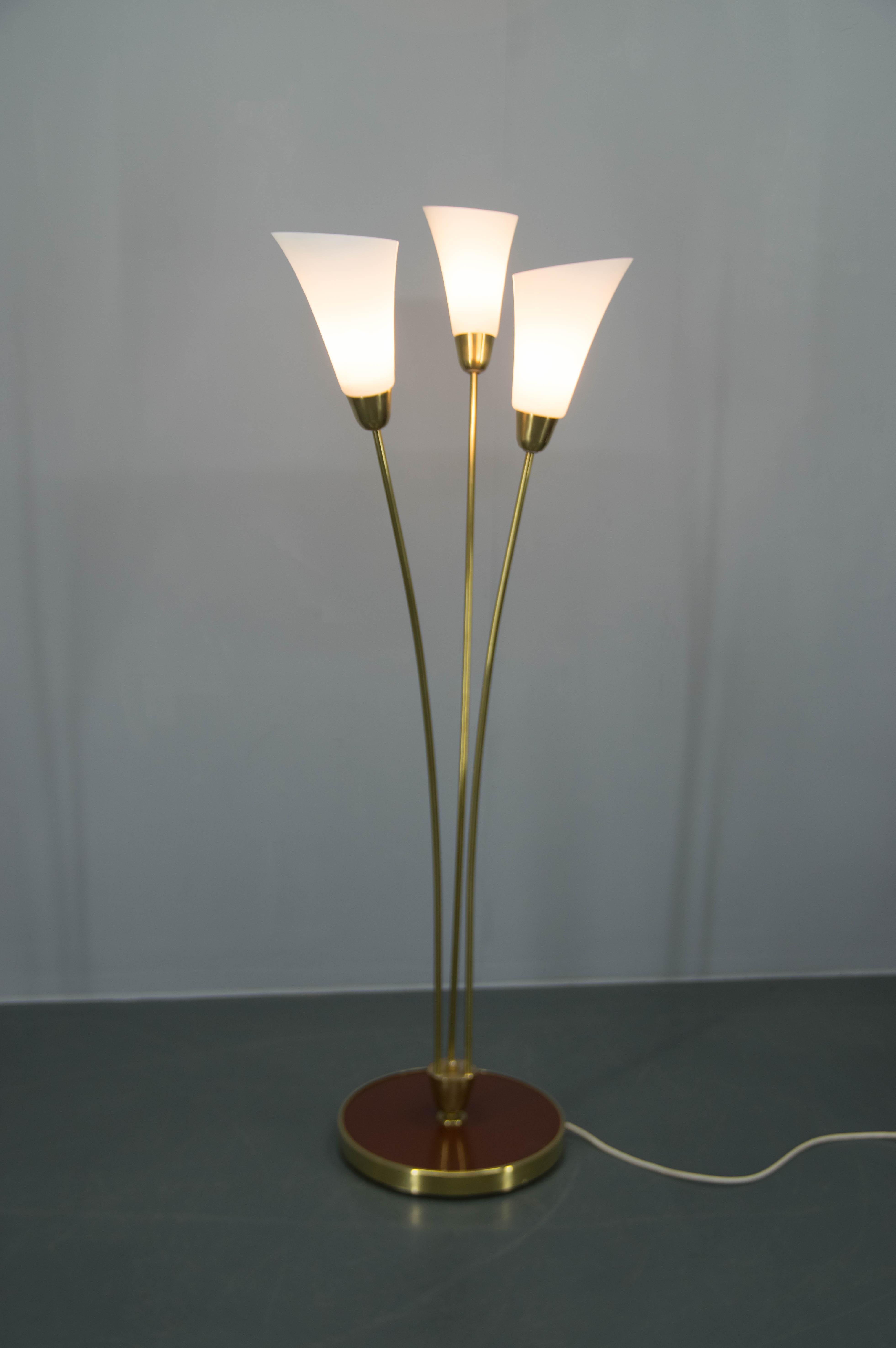Art Deco floor lamp made in Czechoslovakia
One opaline shades has small dent on edge.
Very good original condition.
Cleaned and polished.
3x40W, E25-E27bulbs
US plug adapter included.