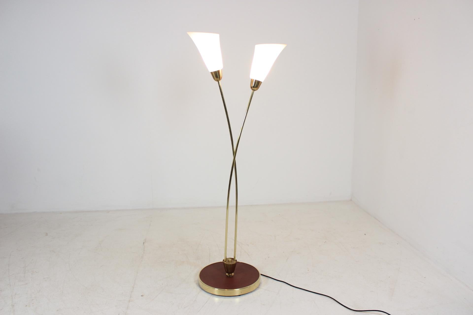 Mid-Century Modern Art Deco Floor Lamp, Czechoslovakia