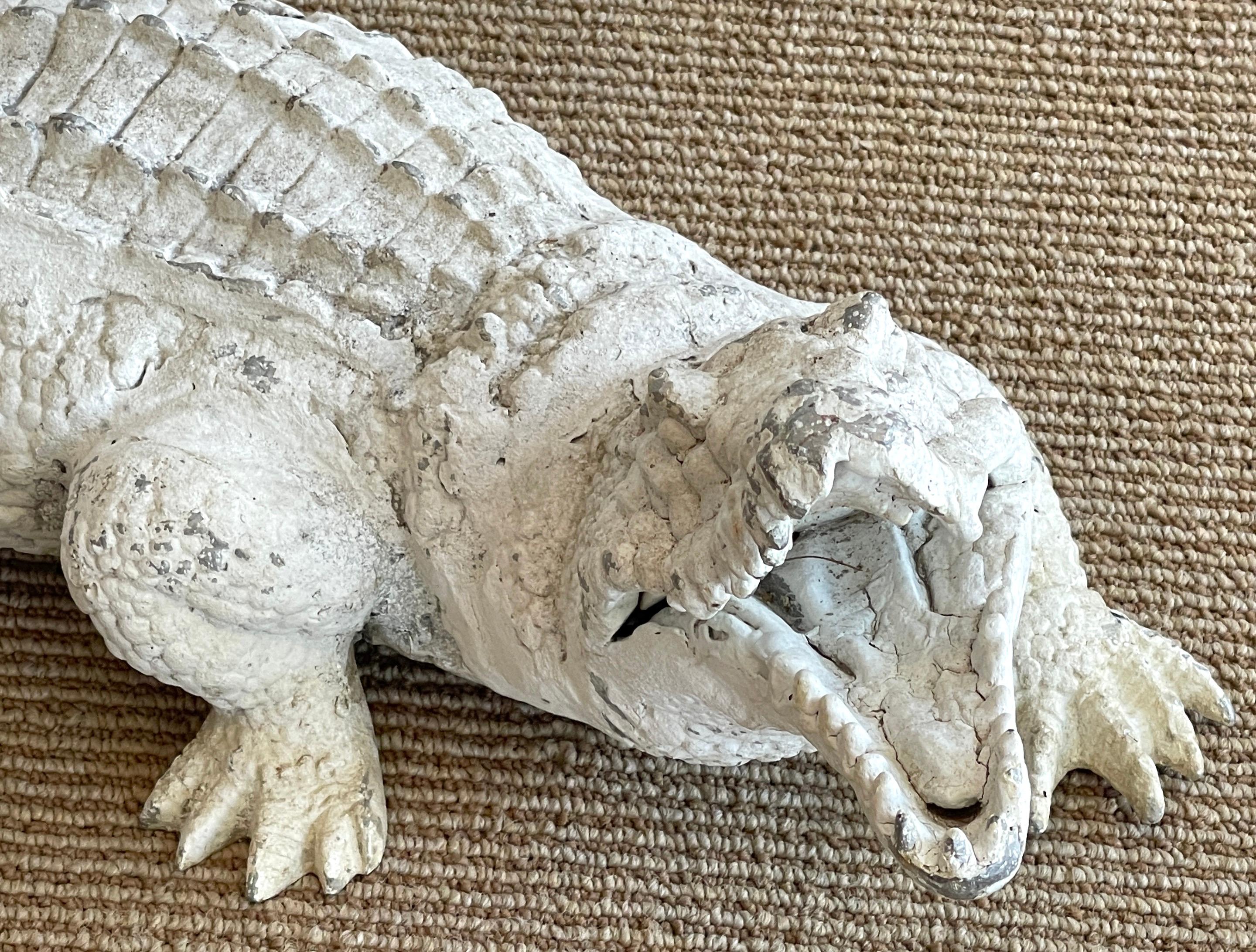 albino alligator for sale