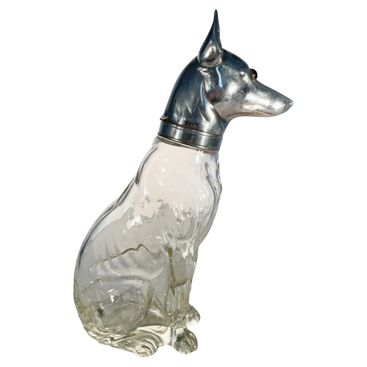 Art Deco decanter in the form of a Greyhound or Whippet. The dogs well defined clear glass body in a seated position is topped with a hinged silver plate head looking forward with glass eyes, the collared neck opens to reveal an inner glass stopper.