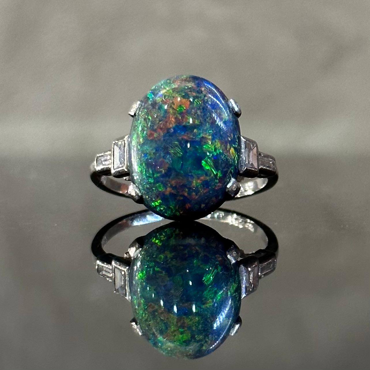 harlequin black opal