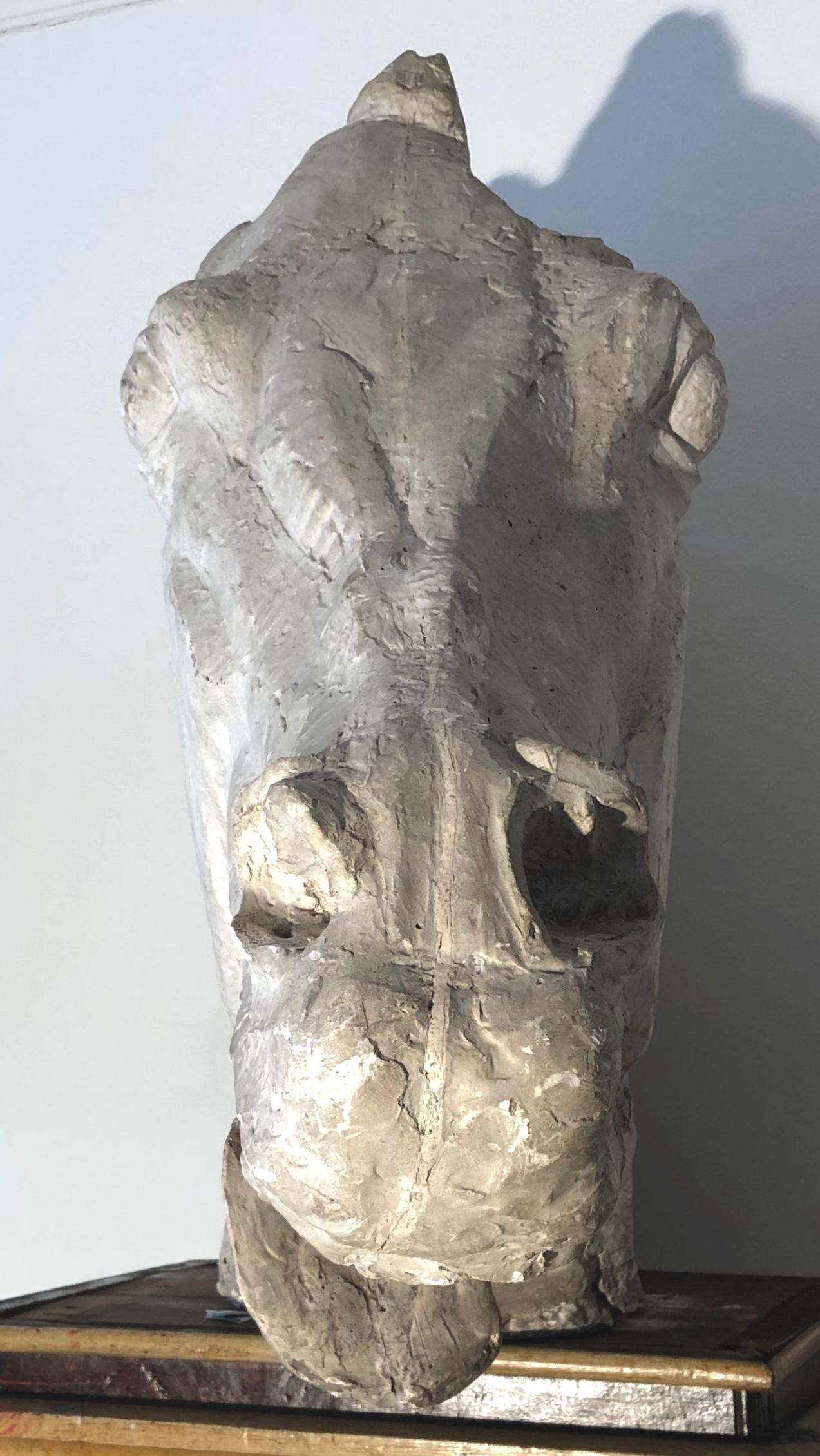 Cette sculpture expressive d'une tête de cheval est exécutée à la manière d'Émile Antoine Bourdelle et réalisée en plâtre.