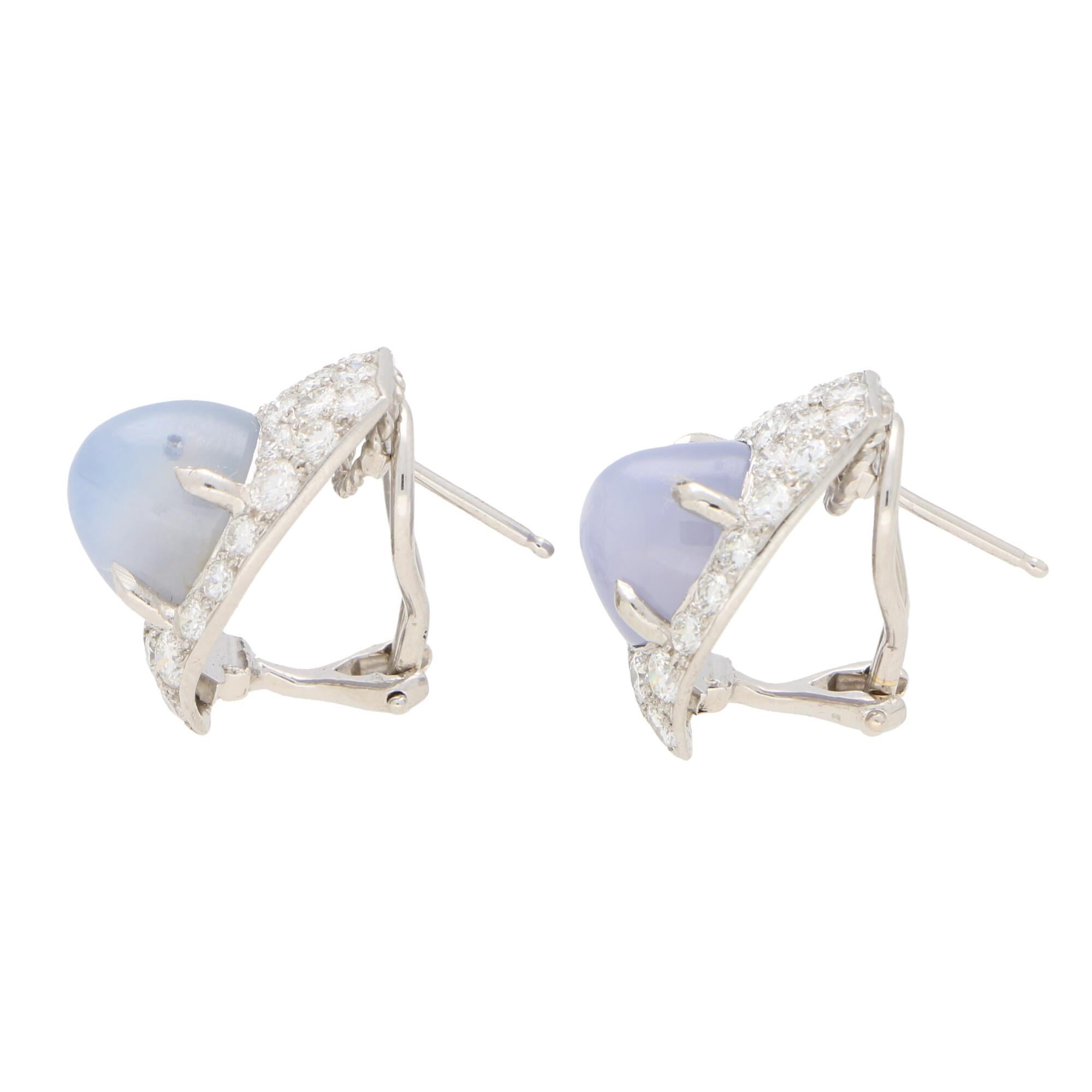 star sapphire earrings white gold
